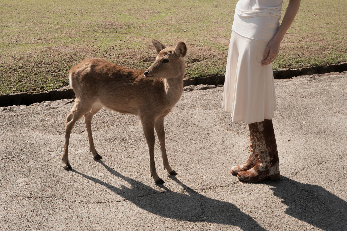 Ann Gaucho Boot In Brown Shades Cow Fur